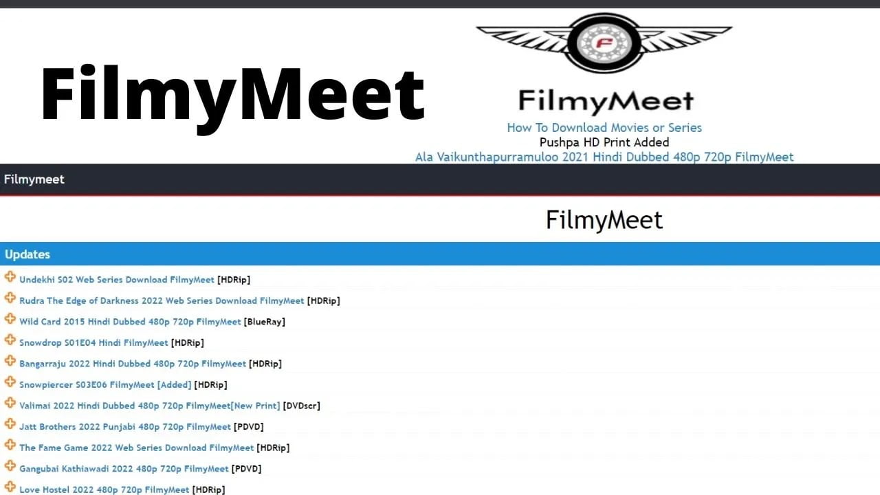 FilmyMeet, Filmyzilla.in, FilmyMeet.Com Filmy Meet 2023 Hollywood, Bollywood